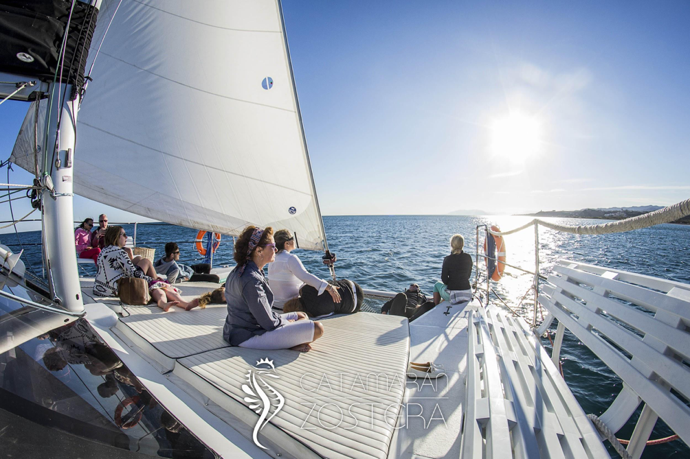 catamaran zostera